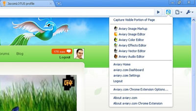 Google Chrome Aviary Screen Capture